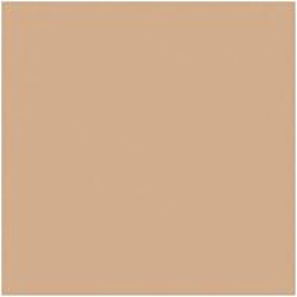 Perfect Finish Foundation 03 Refill
